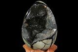 Septarian Dragon Egg Geode - Black Crystals #72003-1